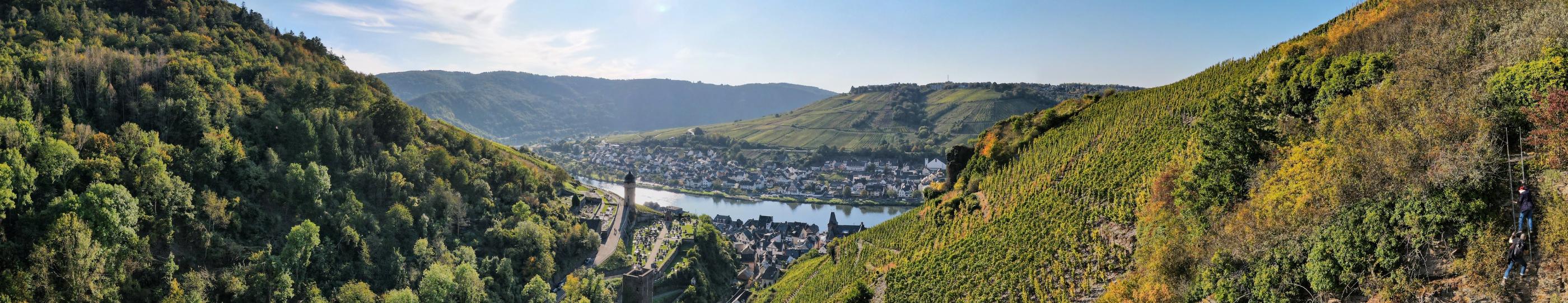 Blick von einem Seitental auf die Mosel mit Ortschaften