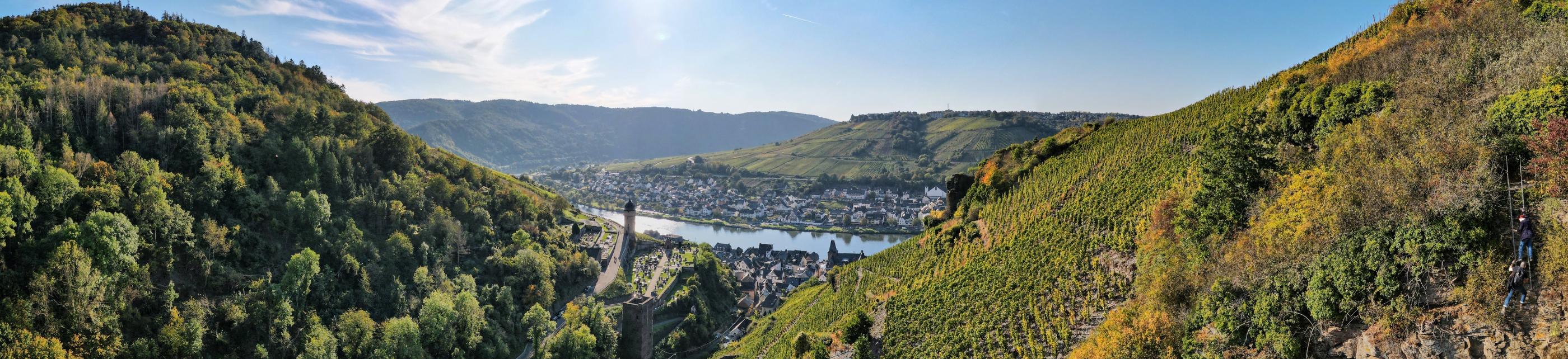 Blick von einem Seitental auf die Mosel mit Ortschaften