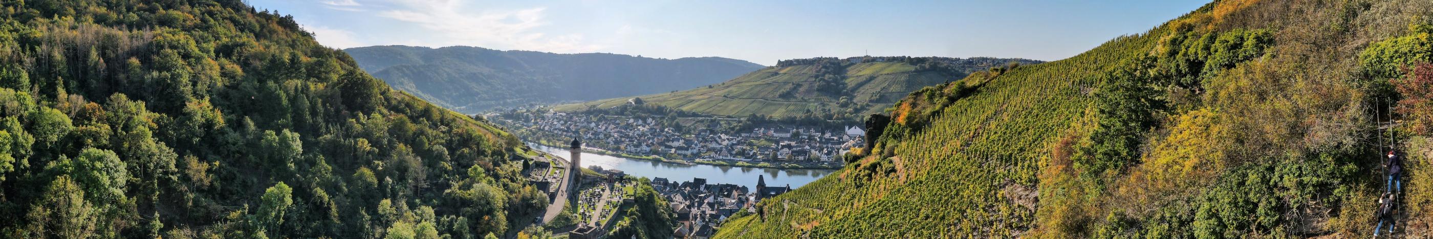 Blick von einem Seitental auf die Mosel mit Ortschaften