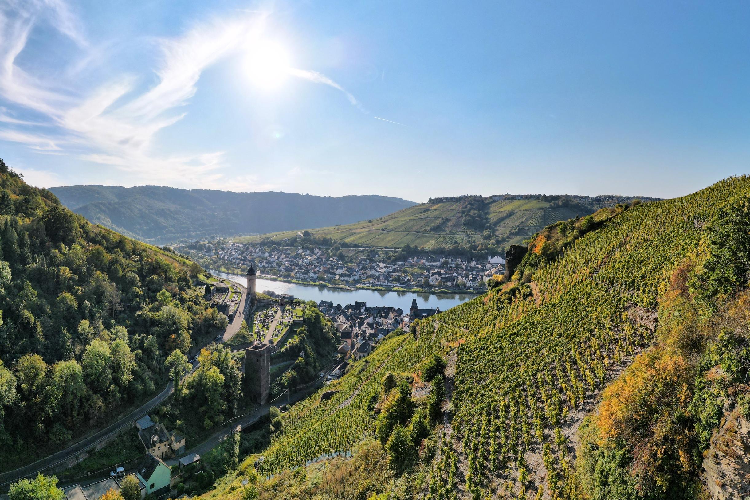 Blick von einem Seitental auf die Mosel mit Ortschaften