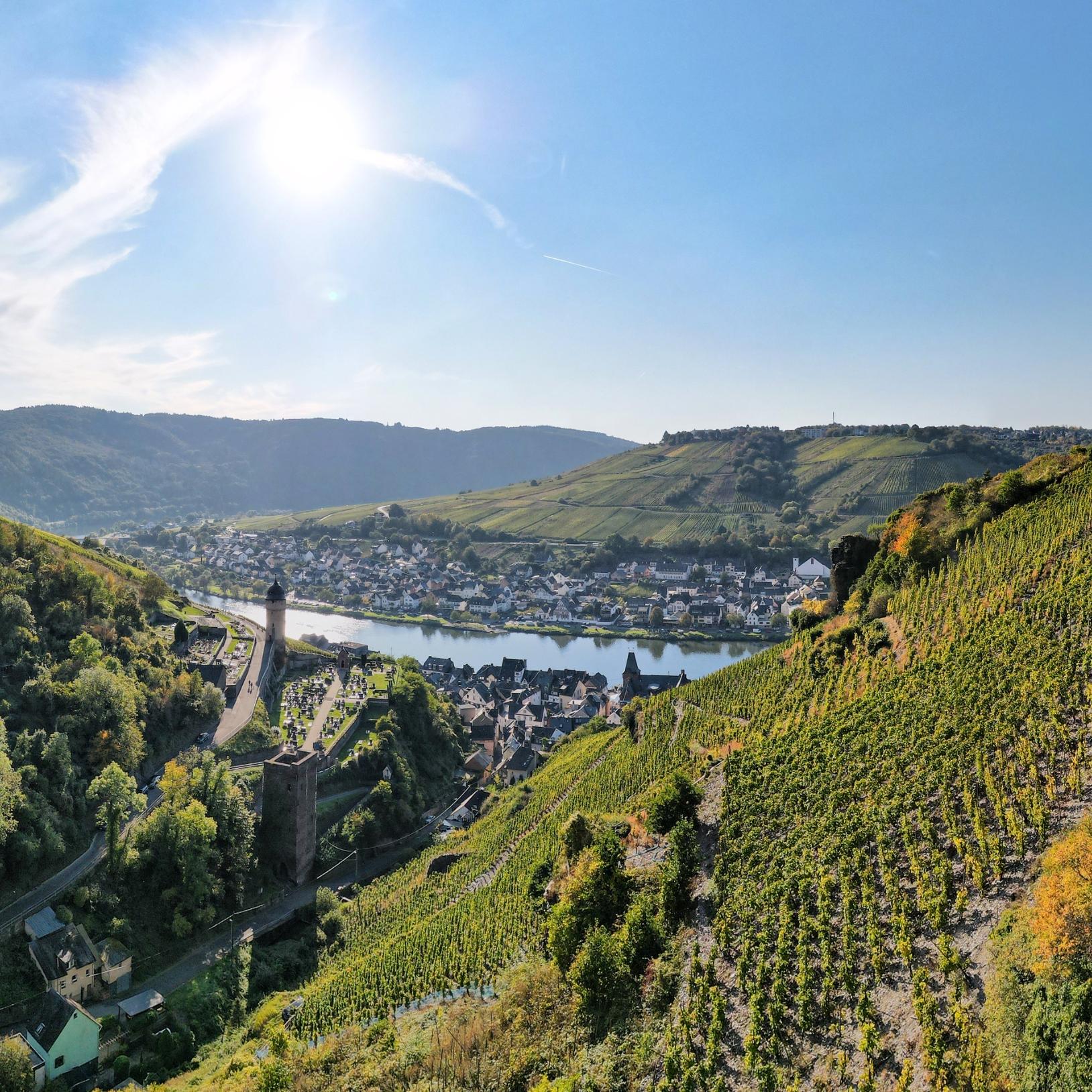 Blick von einem Seitental auf die Mosel mit Ortschaften