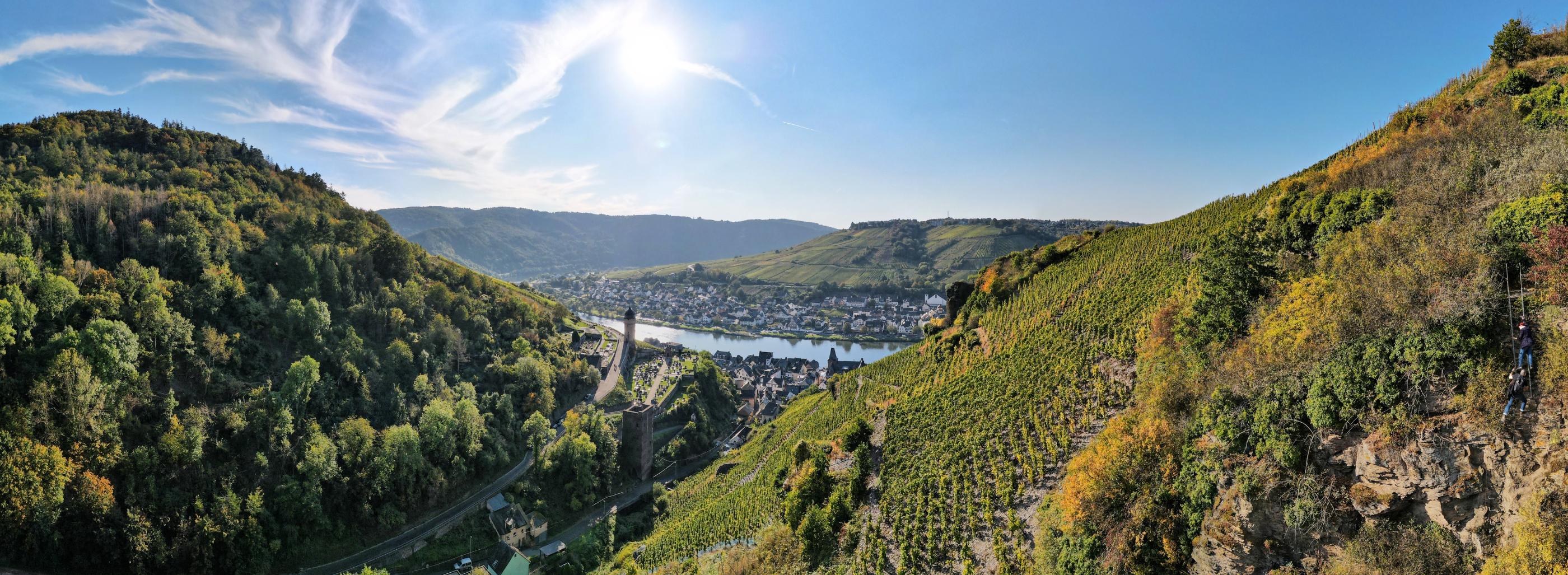 Blick von einem Seitental auf die Mosel mit Ortschaften