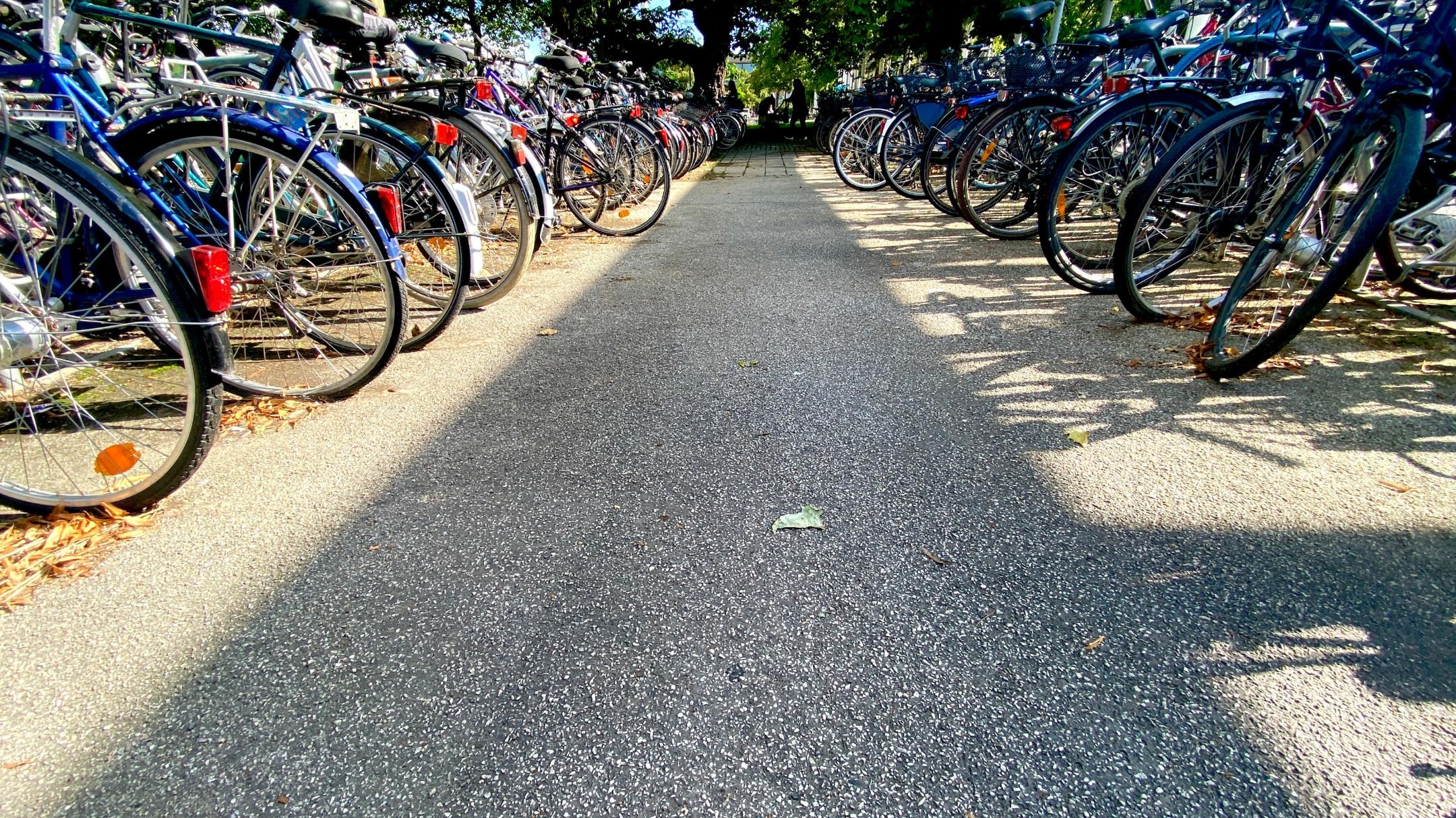 img_9817_by_Sylvio_Krueger_pfarrbriefservice