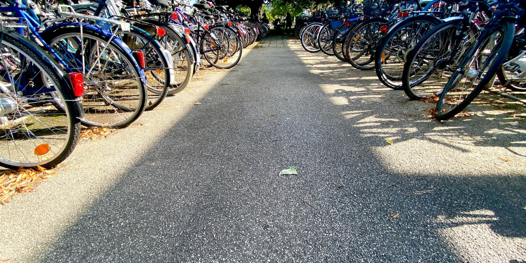 img_9817_by_Sylvio_Krueger_pfarrbriefservice (c) Sylvio Krüger-Pfarrbriefservice img_9817_by_Sylvio_Krueger_pfarrbriefservice