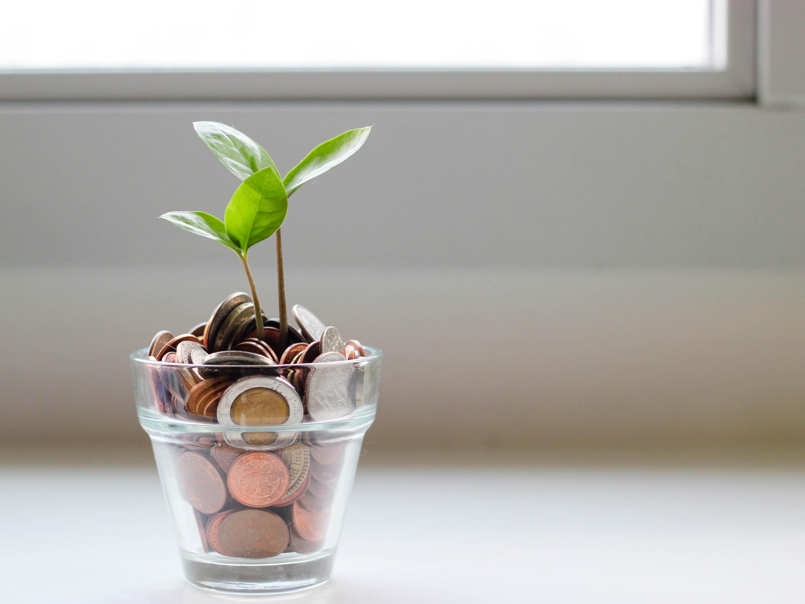 aus Glas mit Münzgeld wächst Pflanze